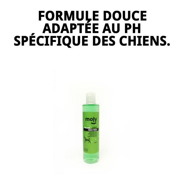 Shampoo Menthe Fraîche pour Chiens - 250ml, Hygiène et Parfum