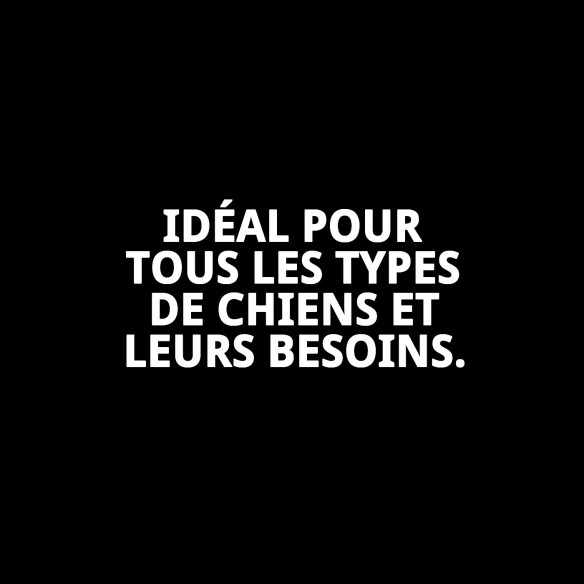 Shampoo Menthe Fraîche pour Chiens - 250ml, Hygiène et Parfum