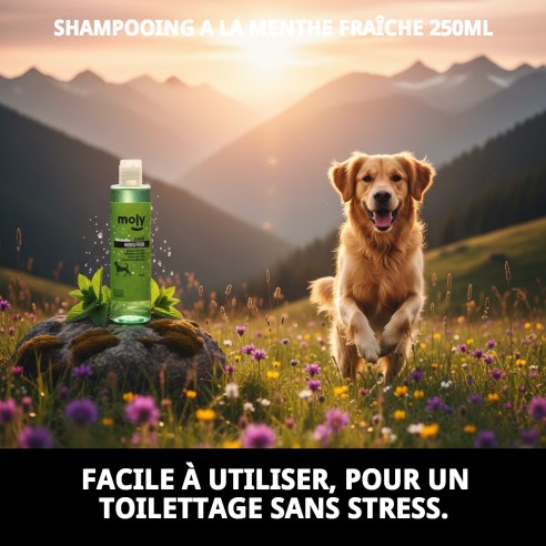 Shampoo Menthe Fraîche pour Chiens - 250ml, Hygiène et Parfum