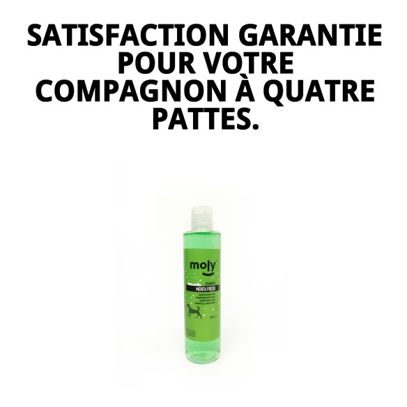 Shampoo Menthe Fraîche pour Chiens - 250ml, Hygiène et Parfum