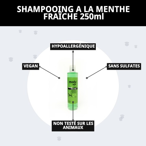Shampoo Menthe Fraîche pour Chiens - 250ml, Hygiène et Parfum