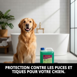 Shampoing Menthe Fraîche 5L : Protection et fraîcheur pour votre chien. 2