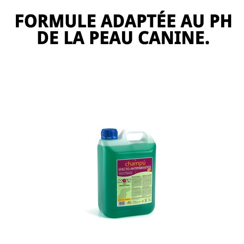 Shampoing Menthe Fraîche 5L : Protection et fraîcheur pour votre chien.
