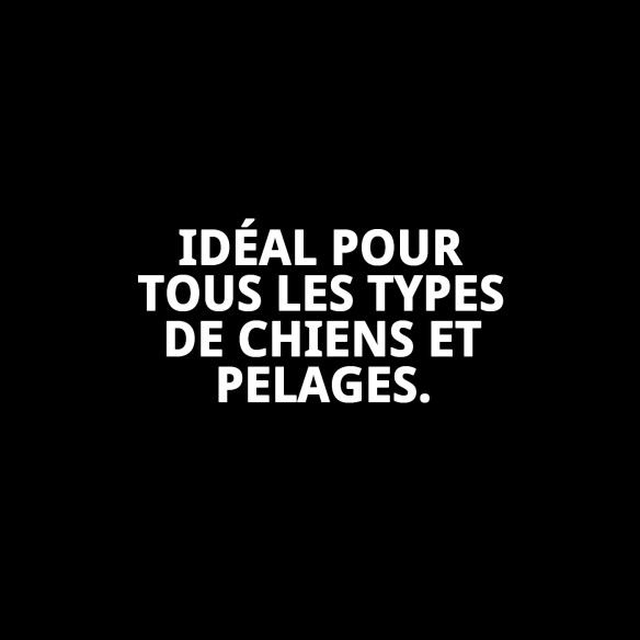 Shampoing Menthe Fraîche 5L : Protection et fraîcheur pour votre chien.