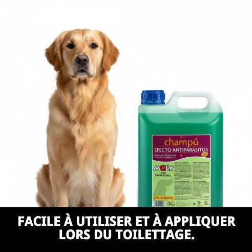Shampoing Menthe Fraîche 5L : Protection et fraîcheur pour votre chien.