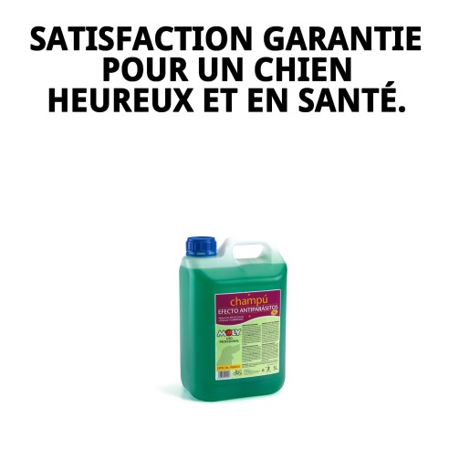 Shampoing Menthe Fraîche 5L : Protection et fraîcheur pour votre chien.