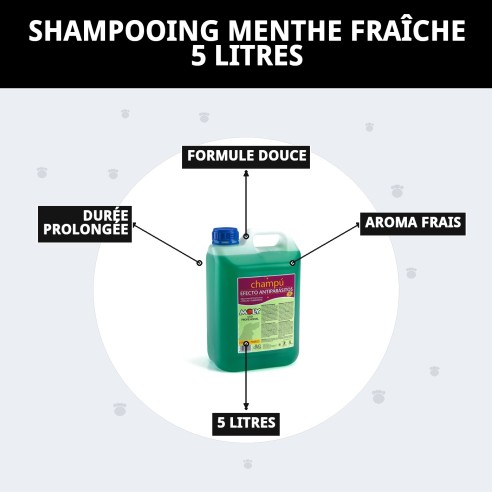 Shampoing Menthe Fraîche 5L : Protection et fraîcheur pour votre chien.