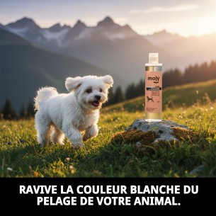 Shampoing pour Poils Blancs 250ml - Brillance et Volume pour Animaux de Compagnie 2