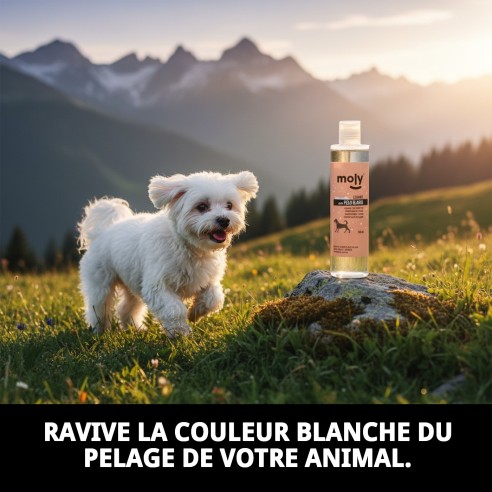 Shampoing pour Poils Blancs 250ml - Brillance et Volume pour Animaux de Compagnie