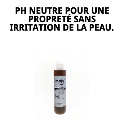 Shampoo pour Cheveux Noirs 250ml - Brillance et Couleur Intense