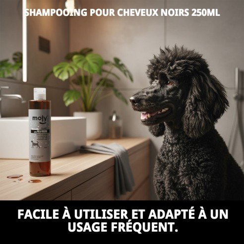 Shampoo pour Cheveux Noirs 250ml - Brillance et Couleur Intense