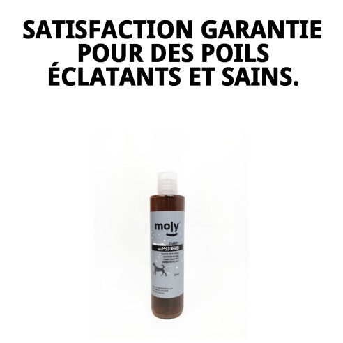 Shampoo pour Cheveux Noirs 250ml - Brillance et Couleur Intense