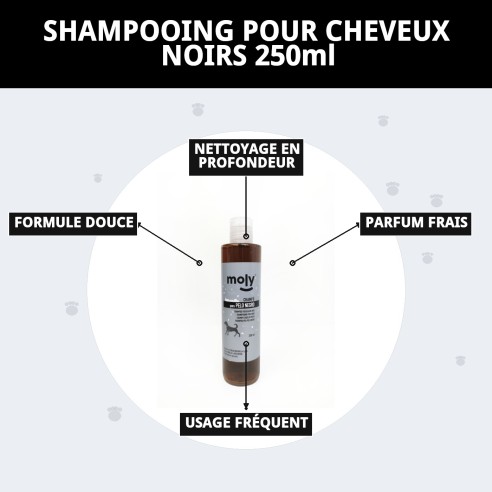Shampoo pour Cheveux Noirs 250ml - Brillance et Couleur Intense