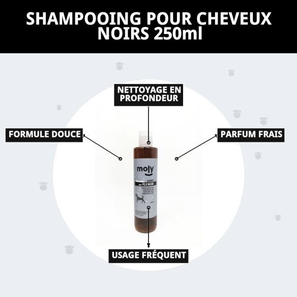 Shampoo pour Cheveux Noirs 250ml - Brillance et Couleur Intense
