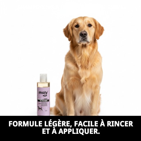Shampoo Usage Fréquent 250ml pour Chiens - Doux et Brillant