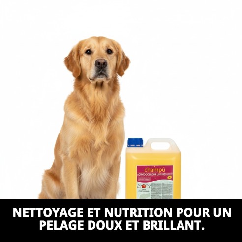 Shampoing Hydratant pour Animaux 5L - Douceur et Brillance