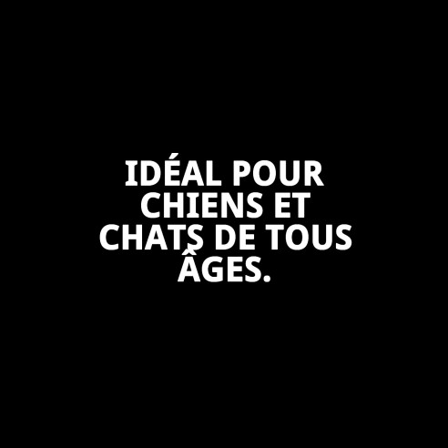 Shampoing Hydratant pour Animaux 5L - Douceur et Brillance