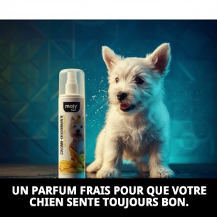 Cologne Déodorant pour Chiens 200ml - Fraîcheur et Propreté 2