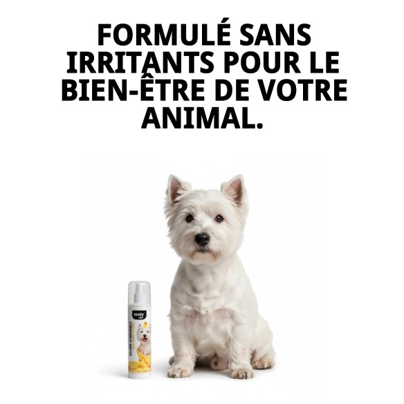 Cologne Déodorant pour Chiens 200ml - Fraîcheur et Propreté
