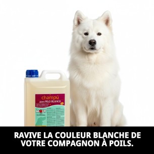 Shampoo 5L pour animaux à poils blancs, brillance et volume. 2