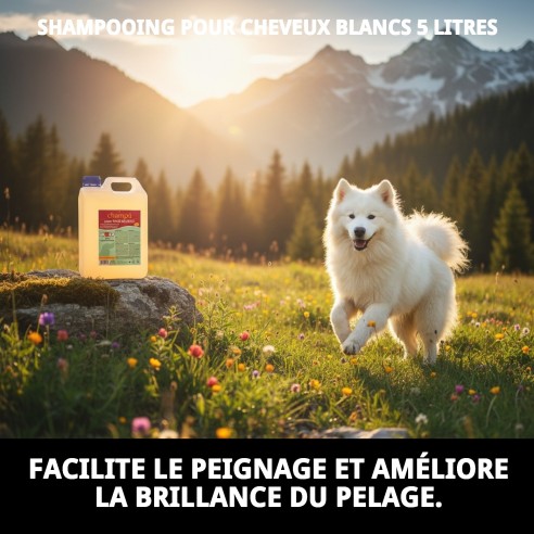 Shampoo 5L pour animaux à poils blancs, brillance et volume.
