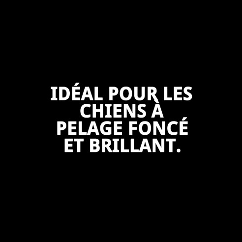 Shampoo pour Chiens Poils Noirs 5L | Brillance et Nettoyage Intense