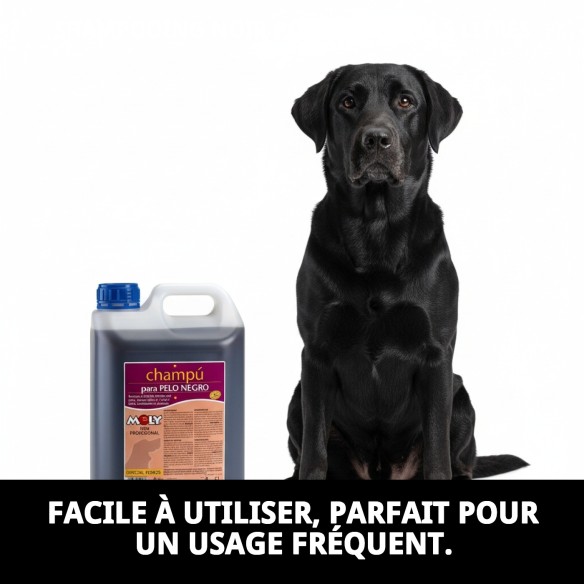 Shampoo pour Chiens Poils Noirs 5L | Brillance et Nettoyage Intense