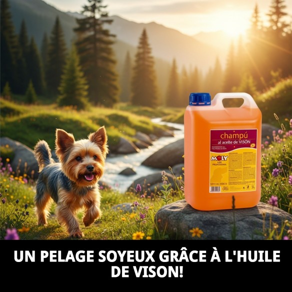 Shampoo Huile de Vison 5L pour Yorkshire : Brillance et Douceur