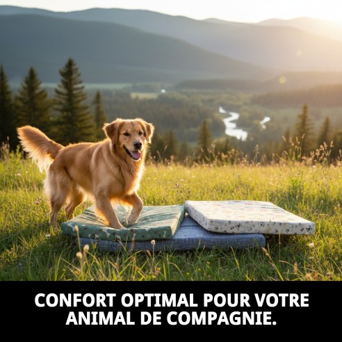 Matelas Taille 2 pour Animaux de Compagnie - Confort et Style Variés