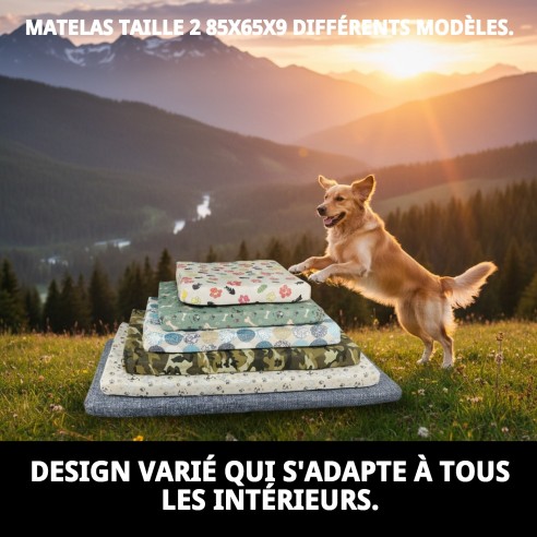 Matelas Taille 2 pour Animaux de Compagnie - Confort et Style Variés