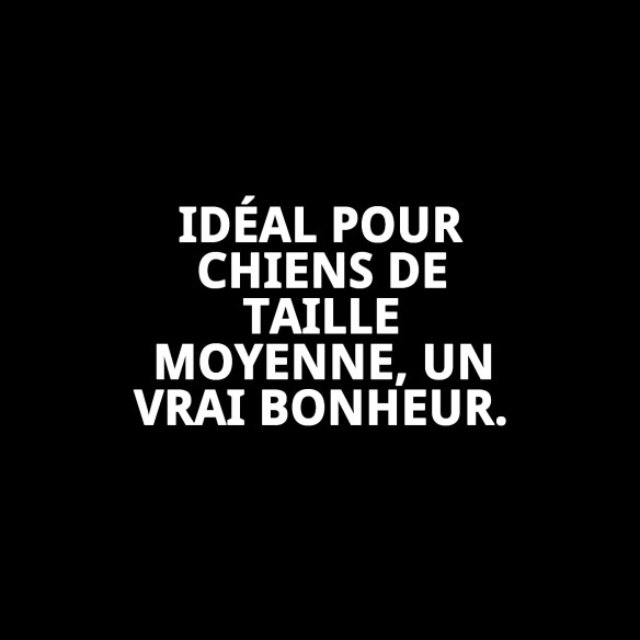 Matelas Taille 3 pour Animaux - Design Varié et Confortable