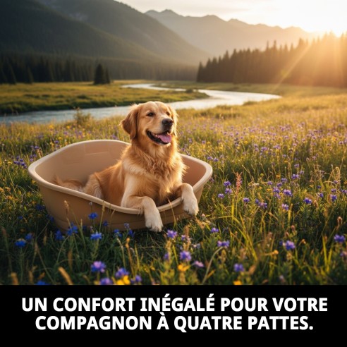 Cage en plastique N.2 55x37x26cm - Confort pour votre animal de compagnie