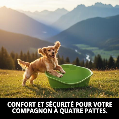 Caisse en plastique N.3 65x42x30cm pour animaux de compagnie, confortable et résistante.