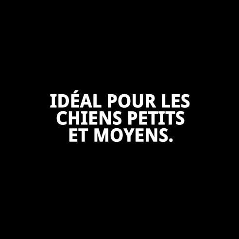 Caisse en plastique N.3 65x42x30cm pour animaux de compagnie, confortable et résistante.