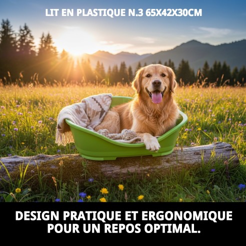 Caisse en plastique N.3 65x42x30cm pour animaux de compagnie, confortable et résistante.