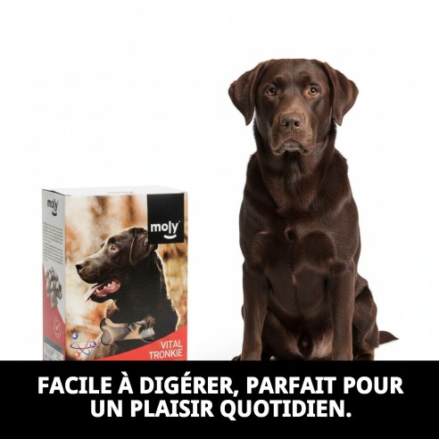 Gâteaux Fourrés Médula 400g - Snack Irrésistible pour Chiens