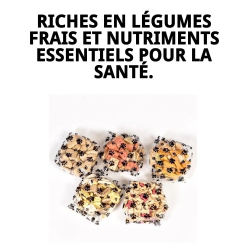 Biscuits Gourmet Végétaux Naturels pour Chiens 200g Délicieux