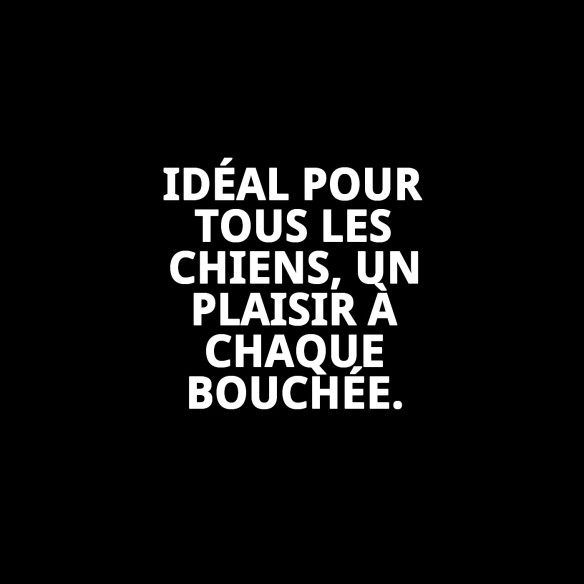 Biscuits Gourmet Végétaux Naturels pour Chiens 200g Délicieux