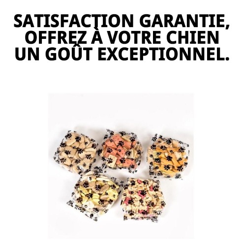 Biscuits Gourmet Végétaux Naturels pour Chiens 200g Délicieux