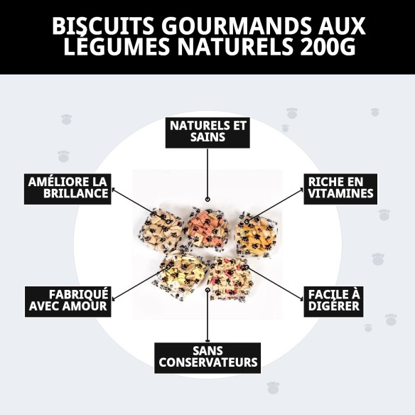 Biscuits Gourmet Végétaux Naturels pour Chiens 200g Délicieux