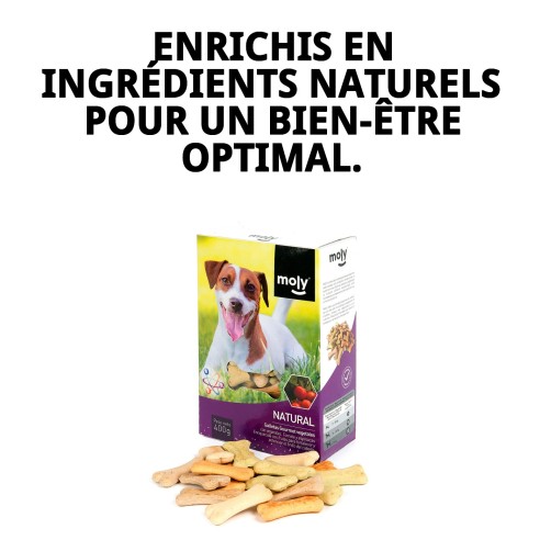 Biscuits Gourmets Végétaux pour Chiens - Saveur et Santé 400g