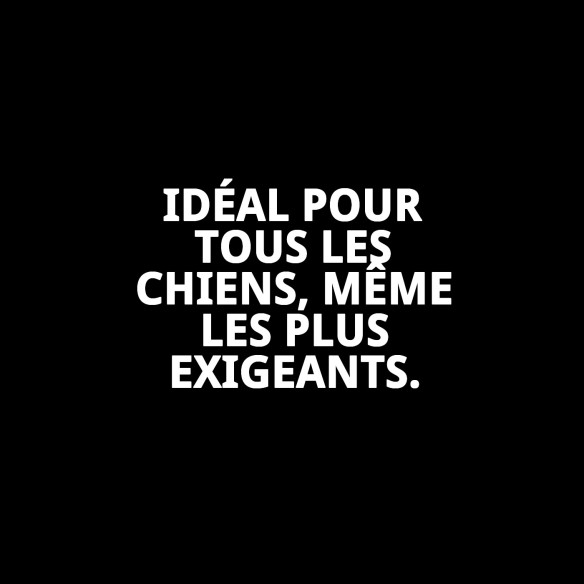 Biscuits Gourmets Végétaux pour Chiens - Saveur et Santé 400g