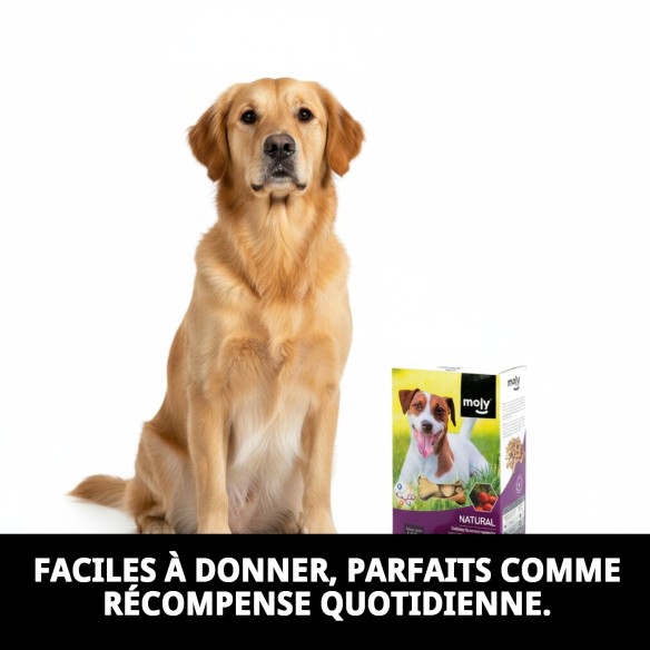Biscuits Gourmets Végétaux pour Chiens - Saveur et Santé 400g