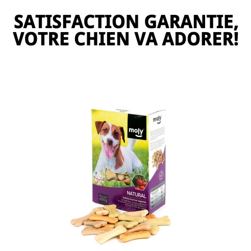 Biscuits Gourmets Végétaux pour Chiens - Saveur et Santé 400g