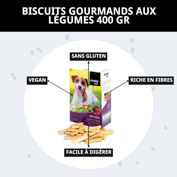 Biscuits Gourmets Végétaux pour Chiens - Saveur et Santé 400g