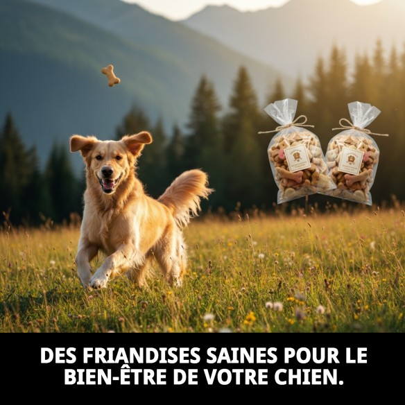 Biscuits Light Intégraux pour Chiens - Nutrition Saine 200g