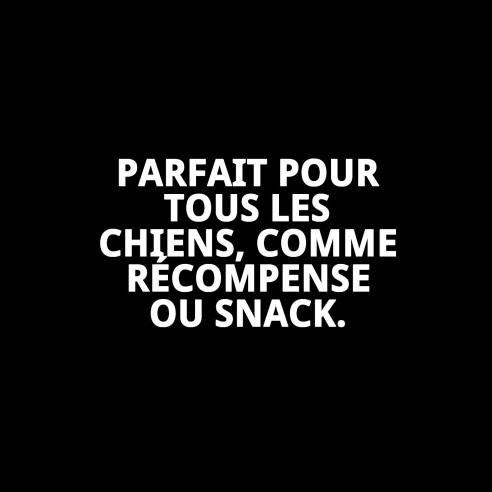 Biscuits Mix Fruit Macedonia pour Chiens 200g - Santé et Saveur