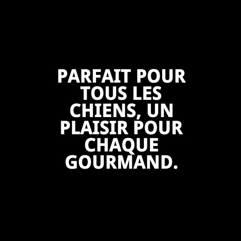 Biscuits Mini Mix Ferme 2 kg - Snacks Délicieux pour Animaux de Compagnie