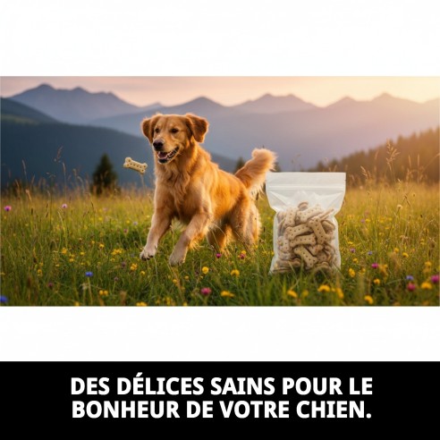 Biscuits Sandwich pour Chiens 2 kg - Snack Nutritif et Délicieux