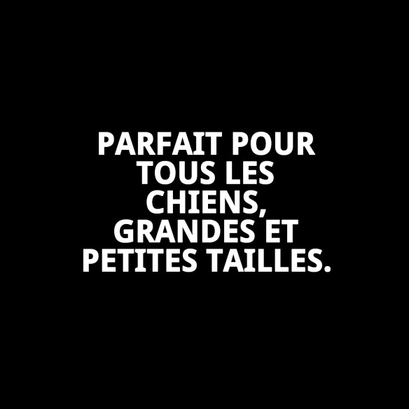 Biscuits Sandwich pour Chiens 2 kg - Snack Nutritif et Délicieux